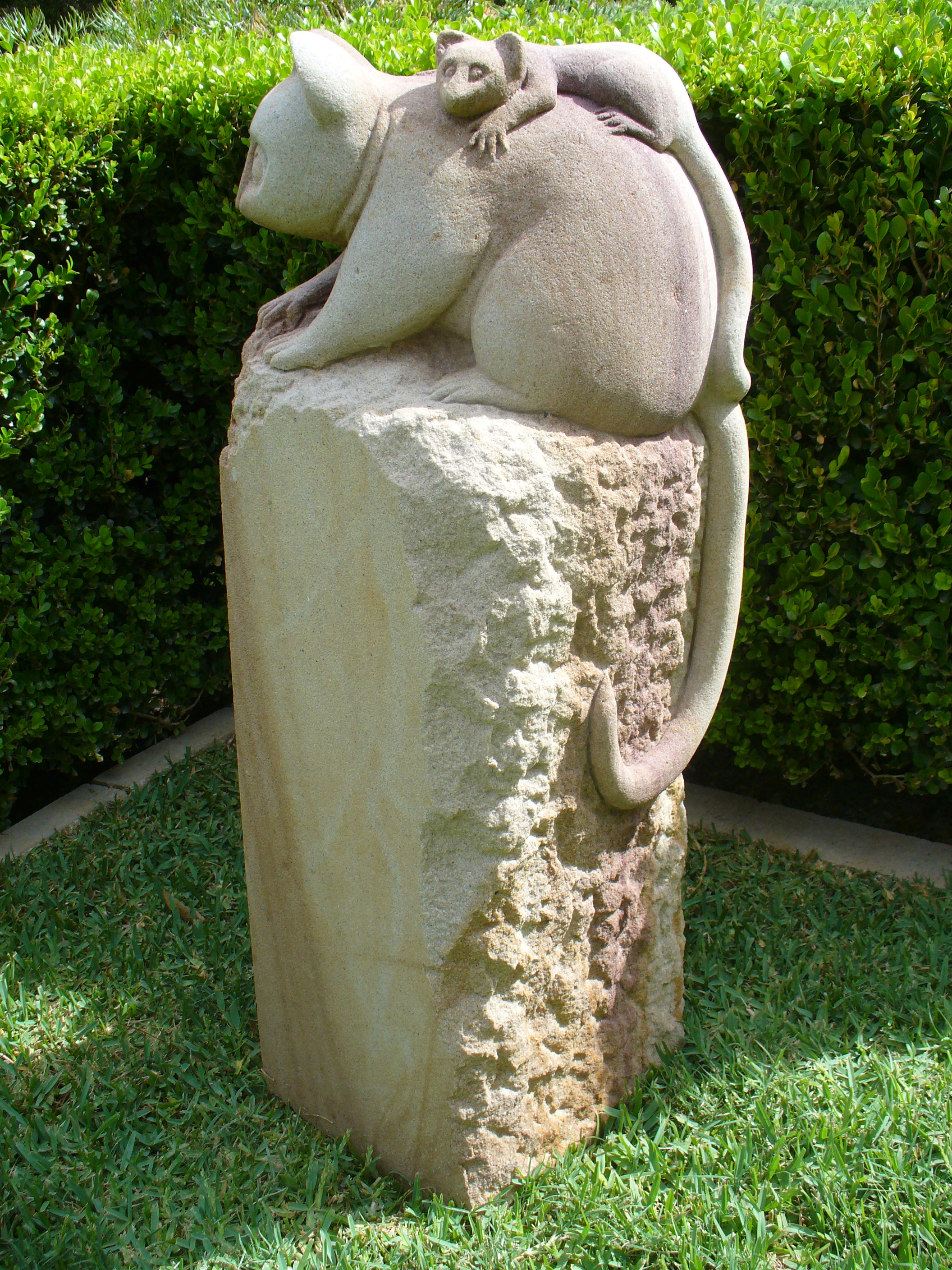 Possum 2
